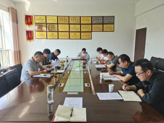 儲備公司黨支部召開擴大會議學(xué)習國有企業(yè)規(guī)范管理意見